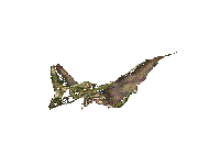 ianim21.gif (12119 bytes)